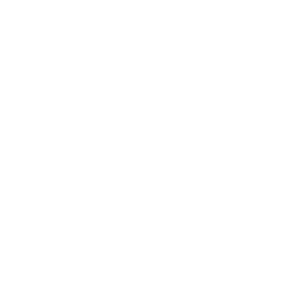 12 months commercial warranty